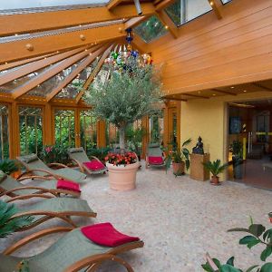 Naturmed Hotel Am Park
